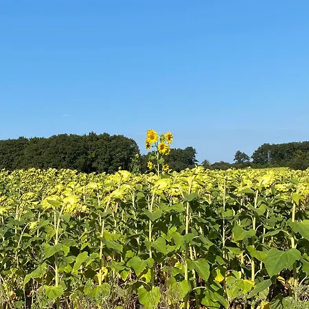 La Petite Grande Maison Pres De Chauvigny